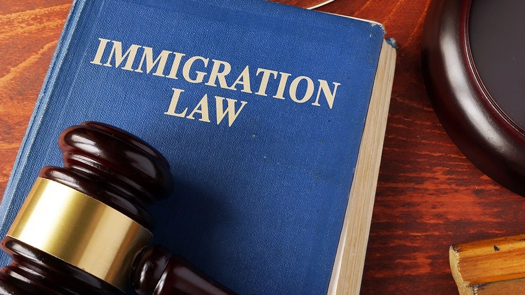 immigration law book and gavel-min